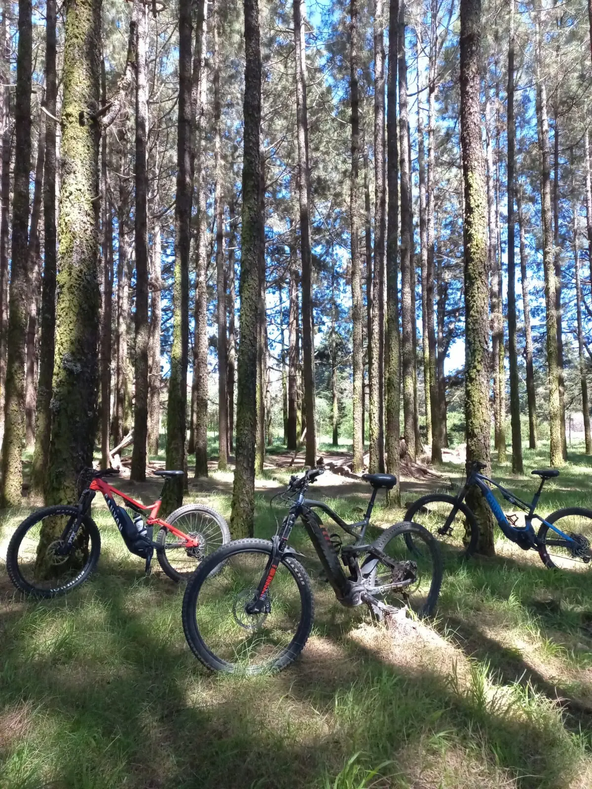 Il Cuore Verde di Tenerife ti Aspetta con Masterbike