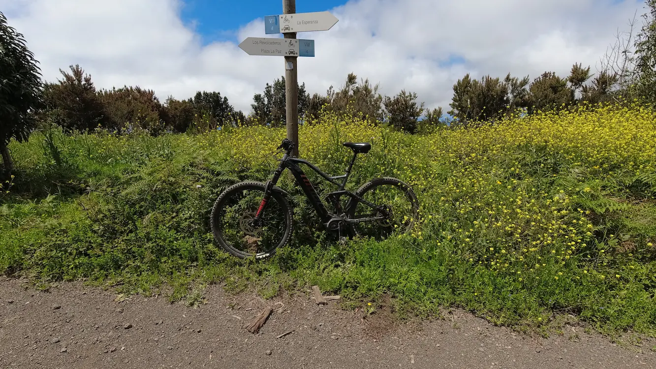 Masterbike Tenerife Tours: Scegli la Tua Avventura a La Esperanza