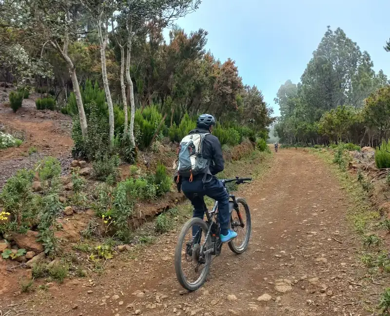 Pedalando verso il Cuore Verde e Umido di Tenerife