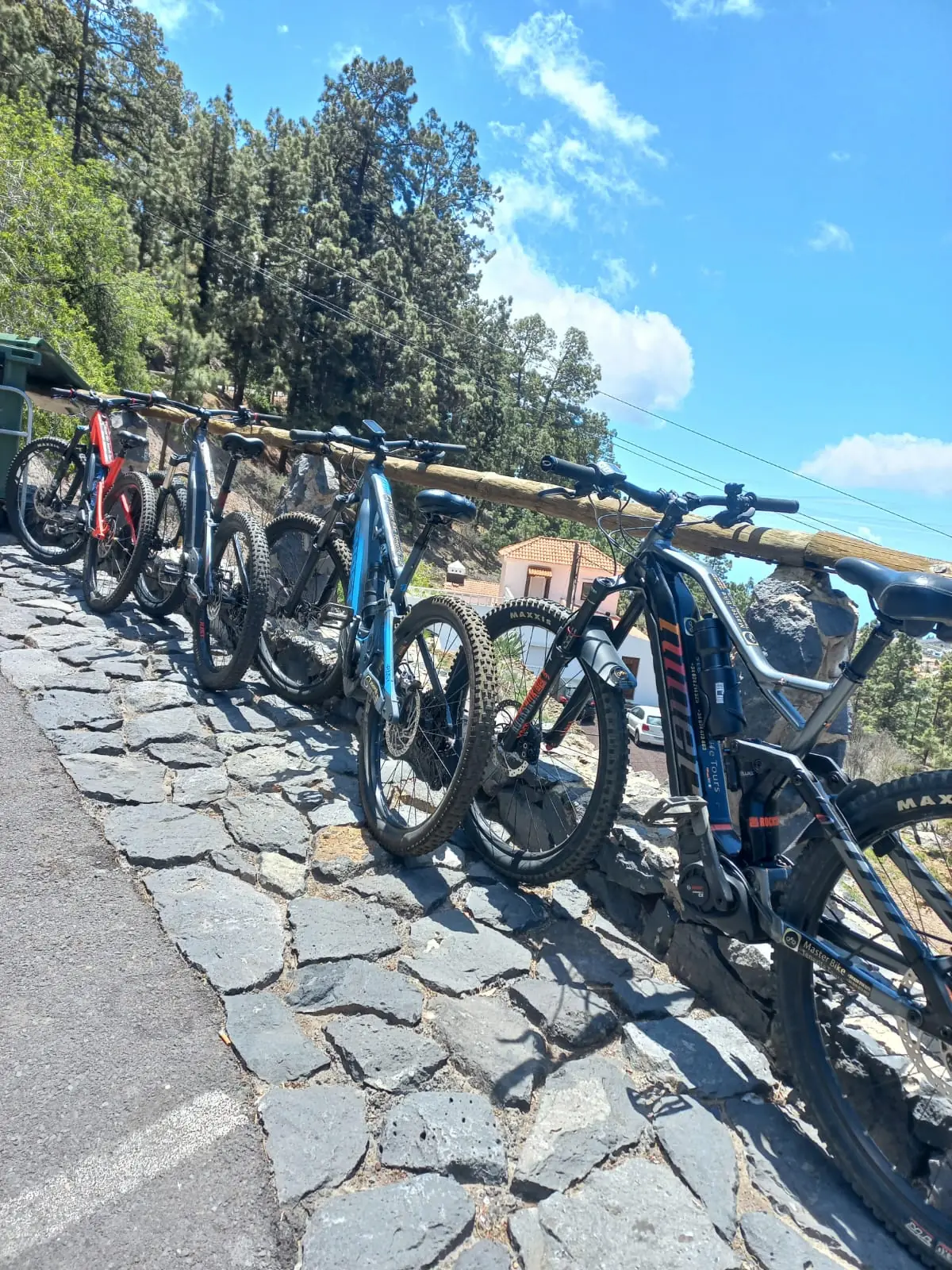 La Flotta Masterbike nel Cuore delle Pinete