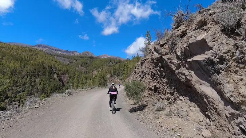 Pedalando tra Montagne e Pinete